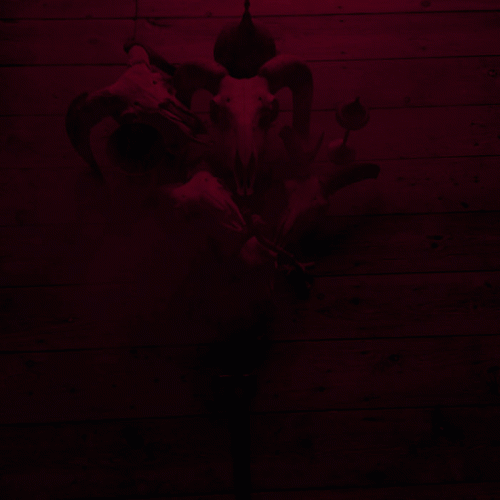 Serpent Mass : Rehearsal 24​-​06​-​2017